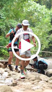 BIB:  <button type="button" onclick="openModal(26800499)" class="btn btn-primary btn-sm float-right" data-toggle="modal" data-target=".modal-high-quality">
                <i class="fa fa-download"></i> Download
                </button>